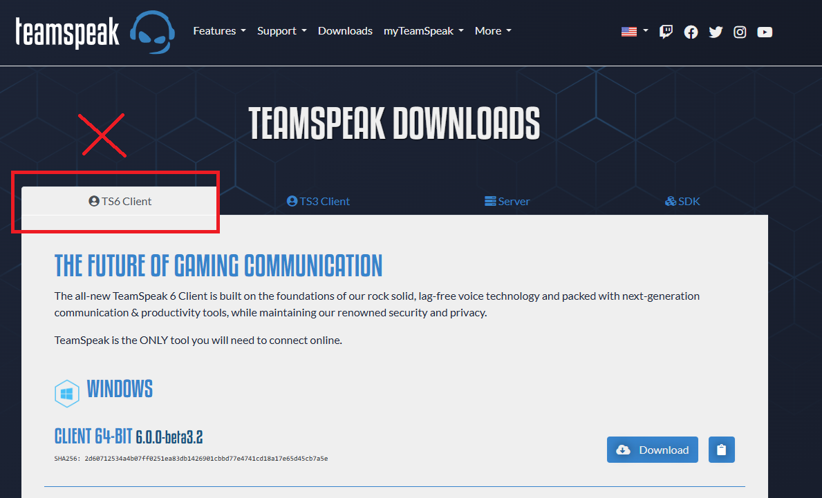 Ukázka špatného rozhraní Teamspeak 6
